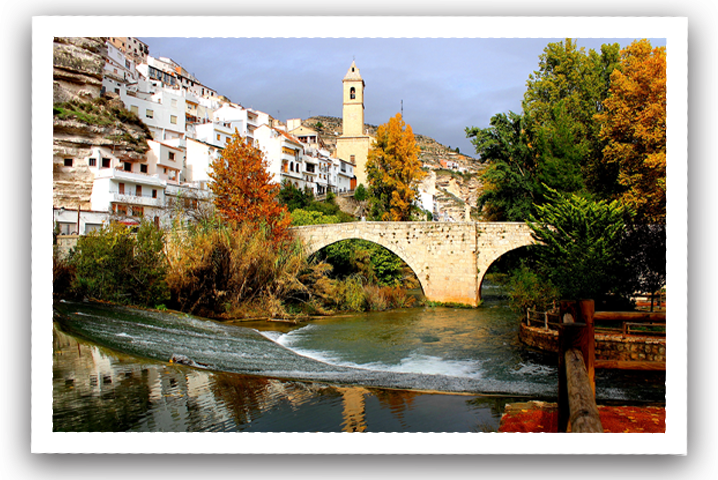 Día 3 - Actividad y Defensas